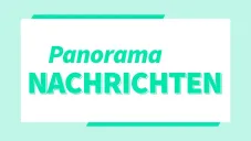 Panorama-Nachrichten für Fachleuten - Week 04